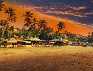 Trevon Goa Experience Package