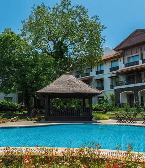 Early Bird Discount (7 Days) - 30% Off